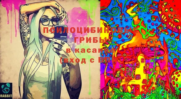 дурь Дмитриев