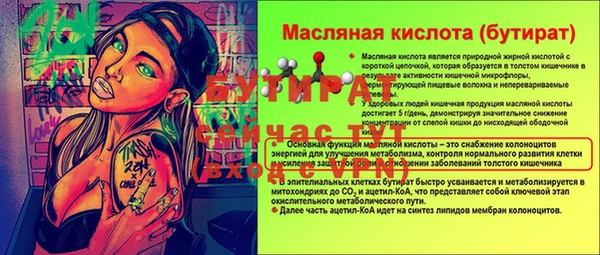 крисы Сатка