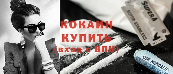 крисы Сатка