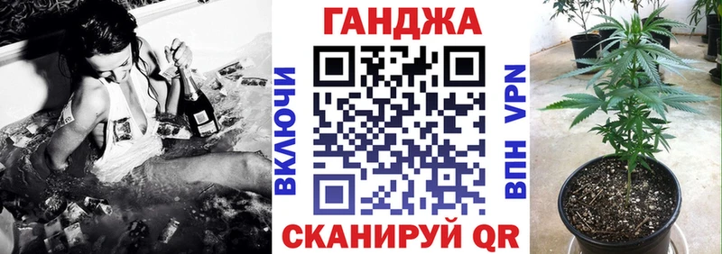 дарнет шоп  Курчалой  Конопля план 